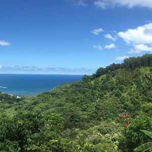 Meet your Posher, Stevie